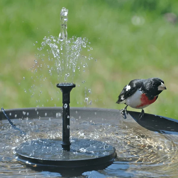 🌞New arrival 70% OFF!⛲Compact Solar Bird Fountain Pump – Keep Your Garden Alive!🏖️